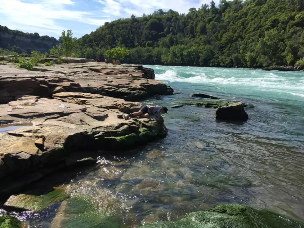 Family Friendly Hiking Trails In Western New York