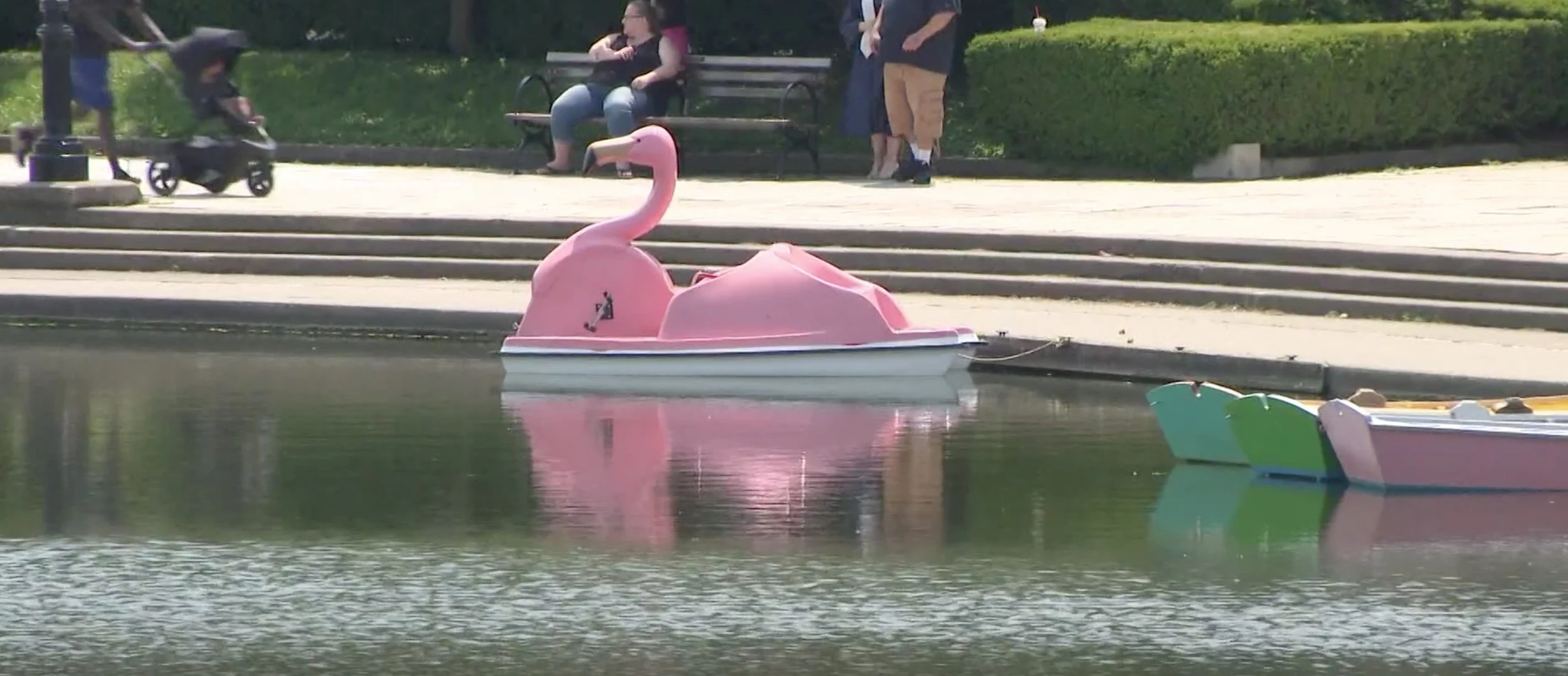 Here's When Buffalo's Flamingo Boats Return to Hoyt Lake