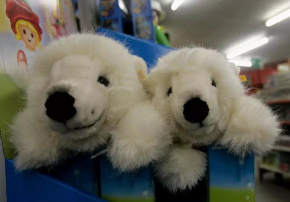 Popular Buffalo Toy Store Is Closing