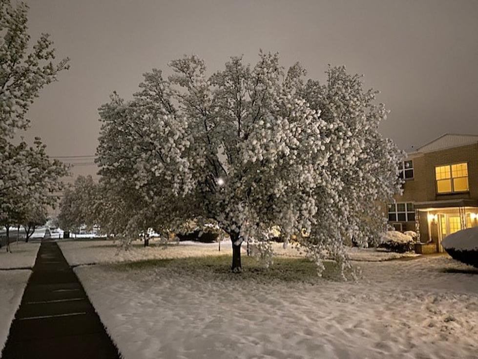 Record Snow Fall Recorded in Buffalo Today