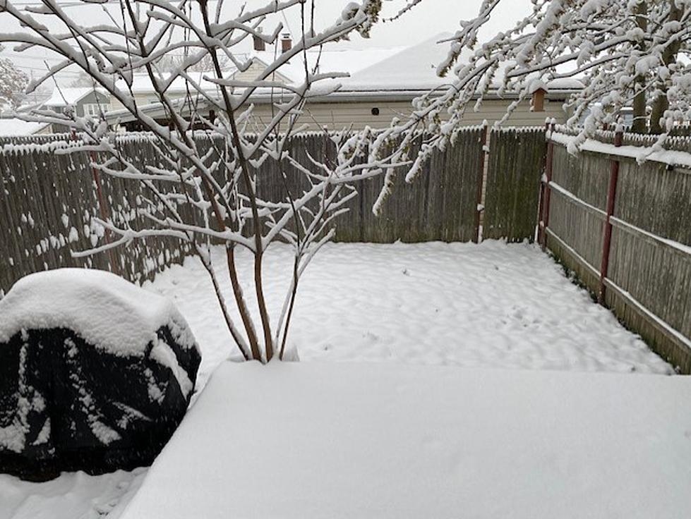 Biggest Snowfall So Far This Year In New York Expected This Weekend