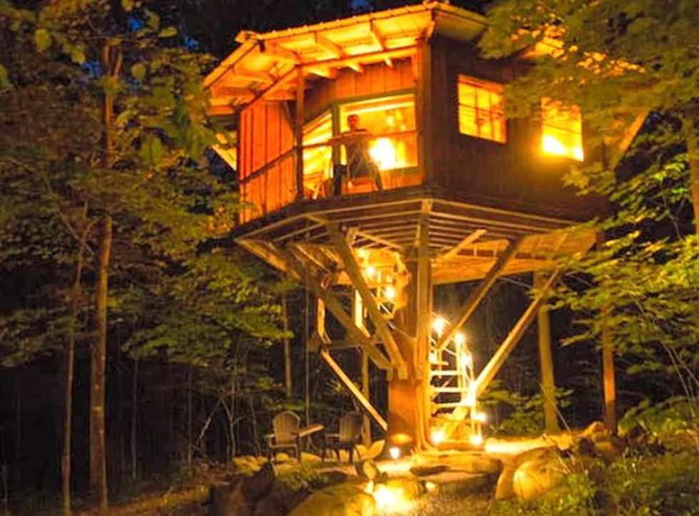 For Your Next Vacation You Can Rent A Tree House [PHOTOS]