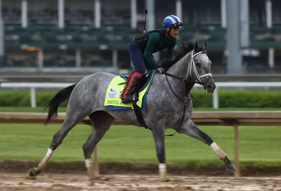 Buffalo Picks The Kentucky Derby Winner – Solely On Its Name