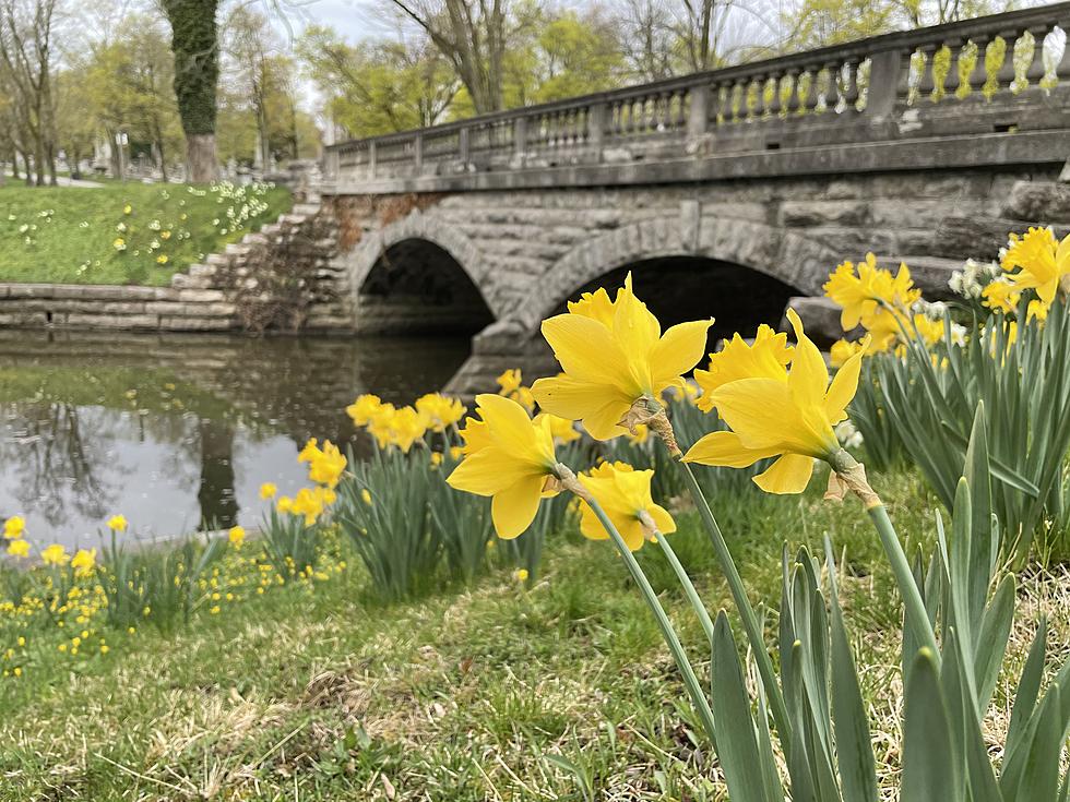 Spring Like Weather Finally Back In Buffalo Forecast