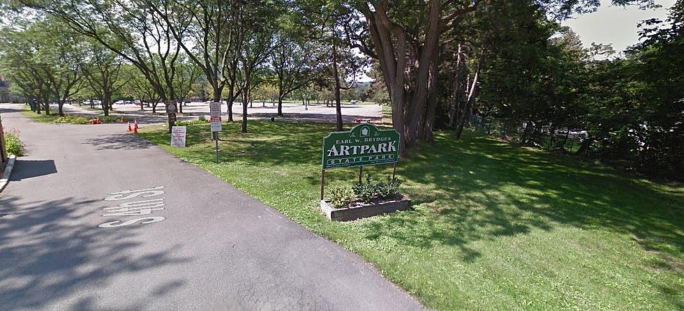 You’ll Need to Be Fully-Vaccinated To Attend Big Artpark Concerts: What to Know