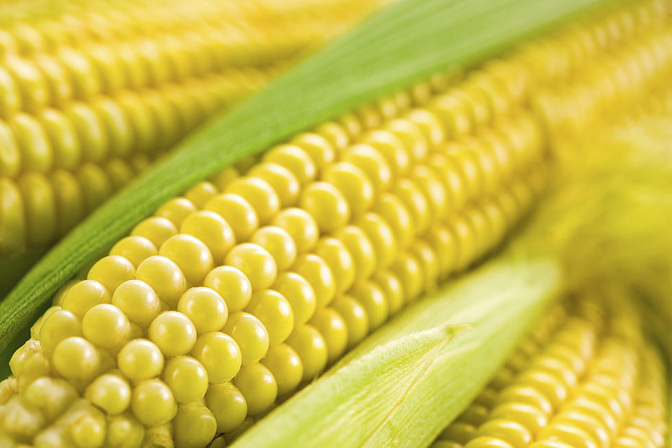 Sweet Corn Flavored Ice Cream Available In Eden