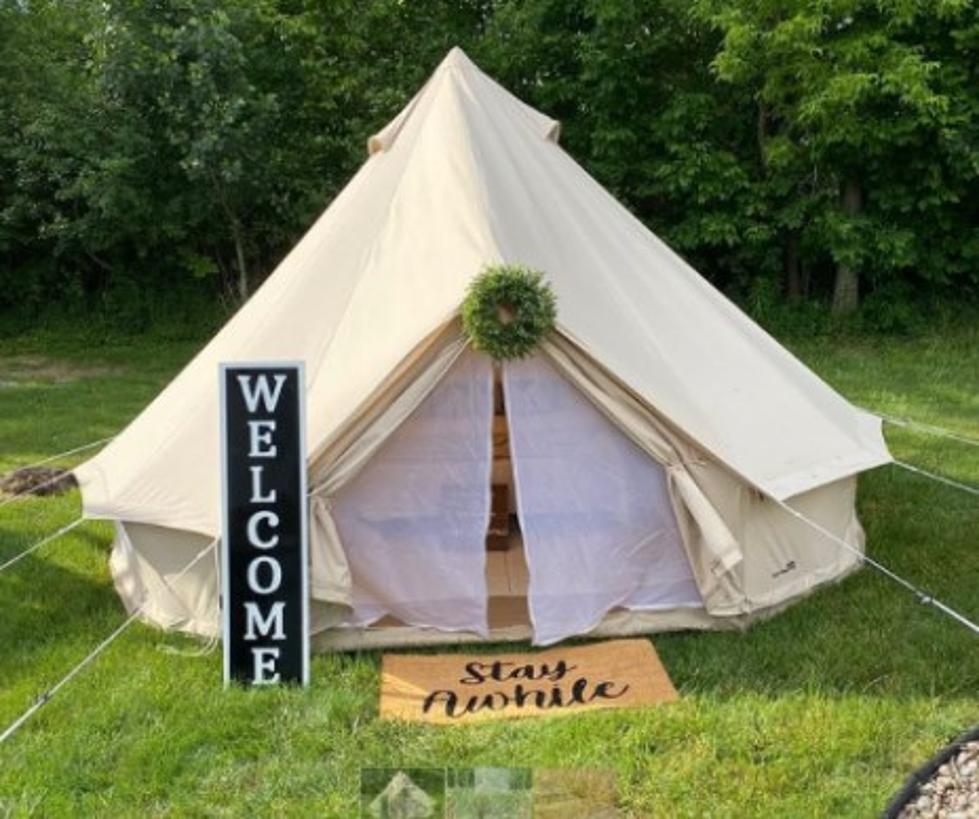Camped Out Buffalo Is Sweet, New Backyard Experience You Need To Book Before Summer Is Over