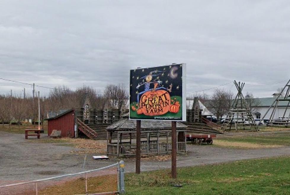 The Great Pumpkin Farm Has Its Opening Day Set