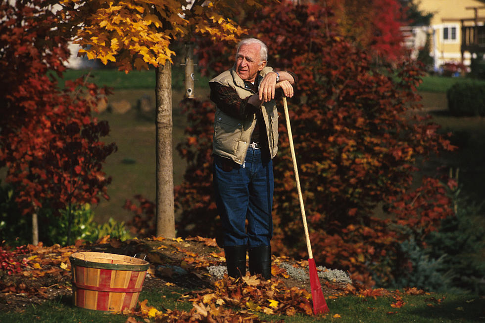 15 Fall/Winter Prep Chores That WNYers Love To Hate