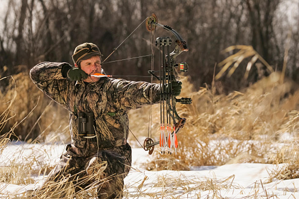 Counties Where The Most Successful Hunters Are In WNY