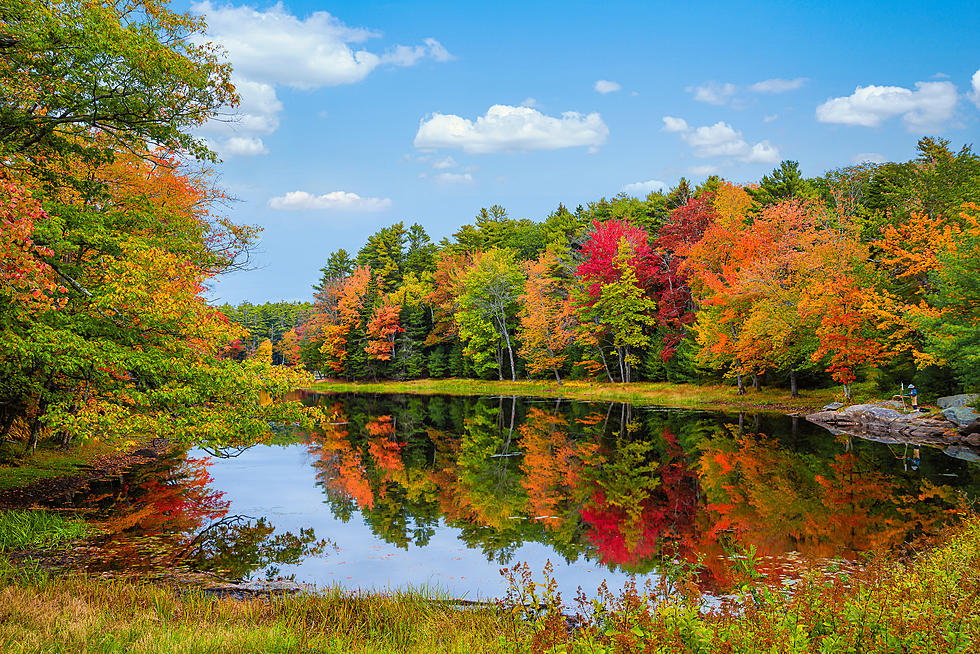 The Ultimate Fall Town In New York State