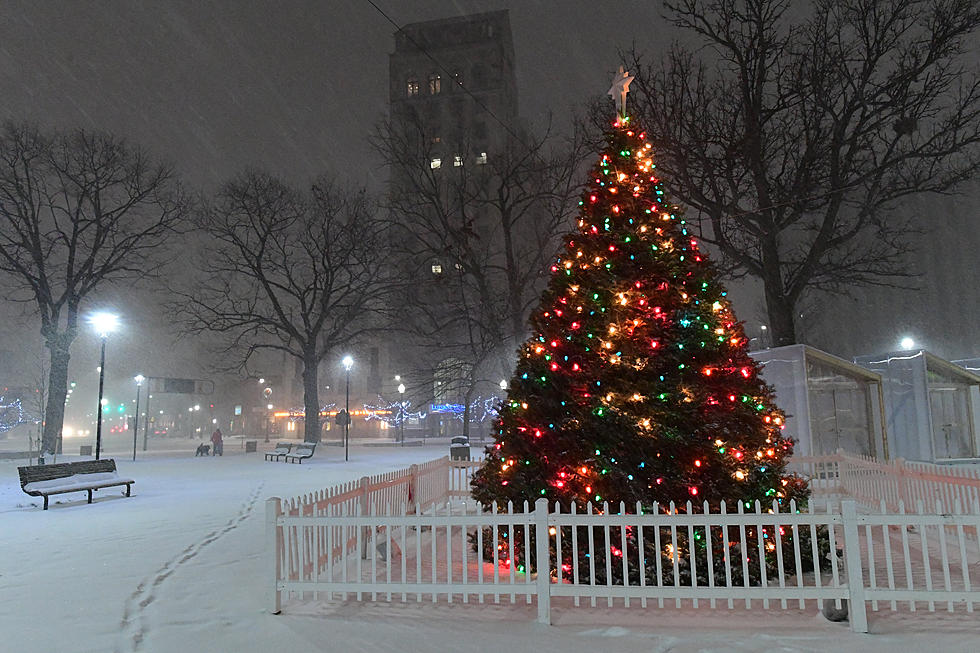 Here Are The Times For The Tree Lighting Ceremonies In Western New York