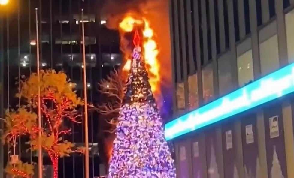 Man Burns Down New York City Christmas Tree in Protest