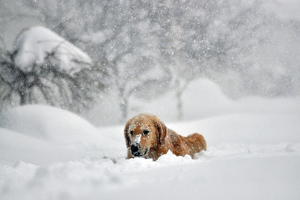 Winter Storm Could Bring Heavy Snow to Buffalo