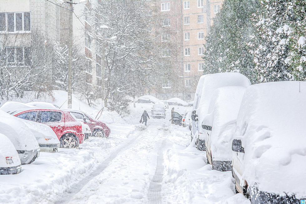 Winter Storm Warning For Over 20 New York State Counties