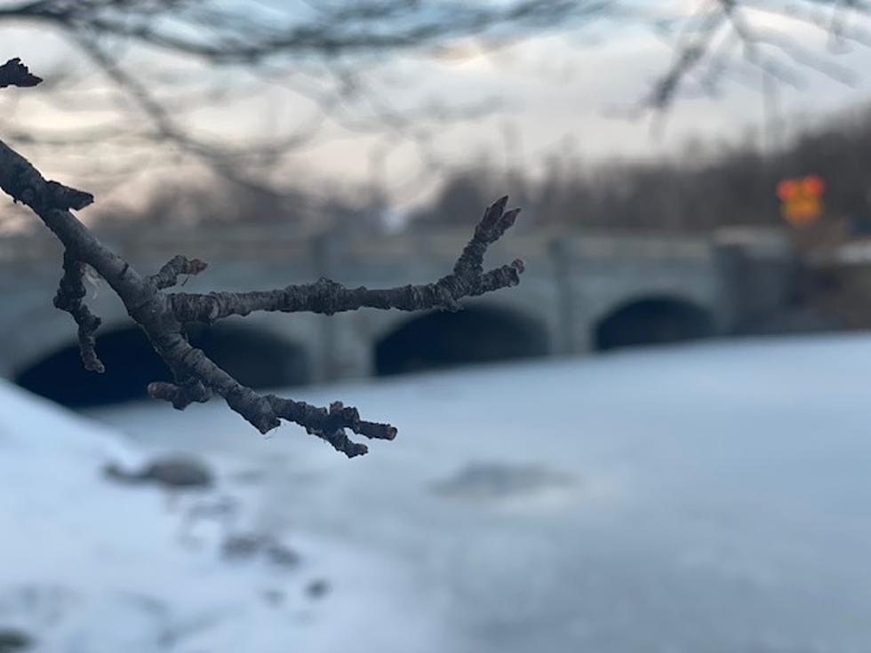 10 Photos Of The Melt Down In Delaware Park