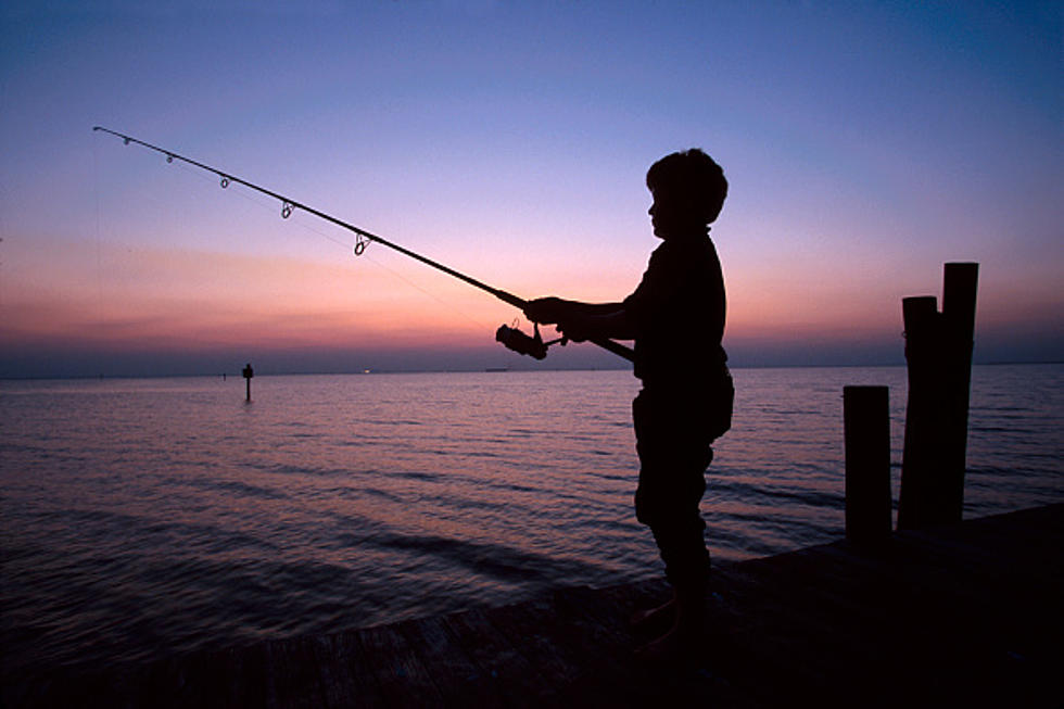 Toxic: Eating Fish In NY Lakes As Bad As Drinking Tainted Water