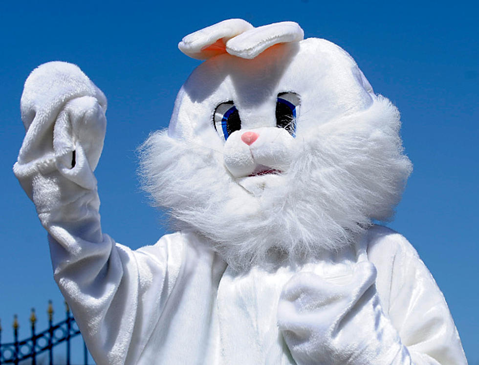 Where Can You See The Easter Bunny In WNY?