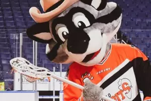 Can You Name All Of These Famous Mascots From Western New York?