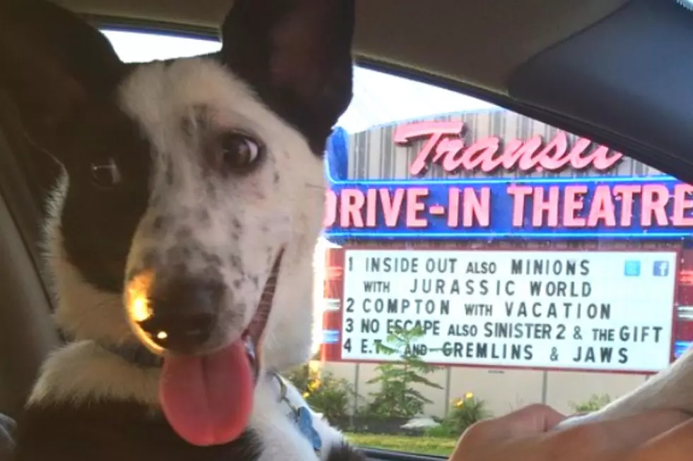 Only 22 Drive-In Theaters Are Left In New York State