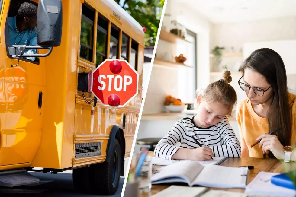 Lake Shore Central Seeks Bus Personnel and Home Instructors