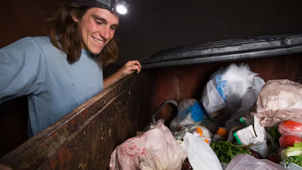 Best Places To Go Dumpster Diving In Western New York