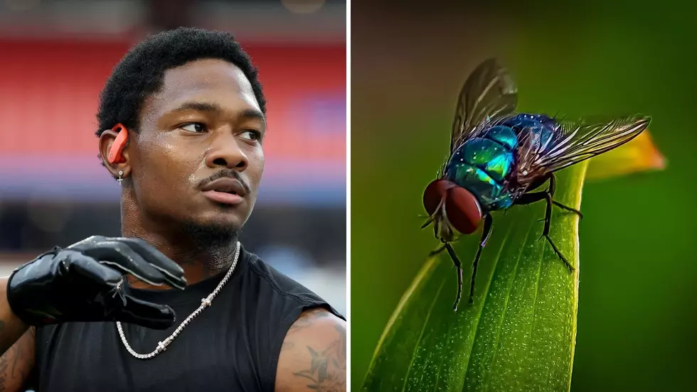 Stefon Diggs Refuses To Kill Bugs