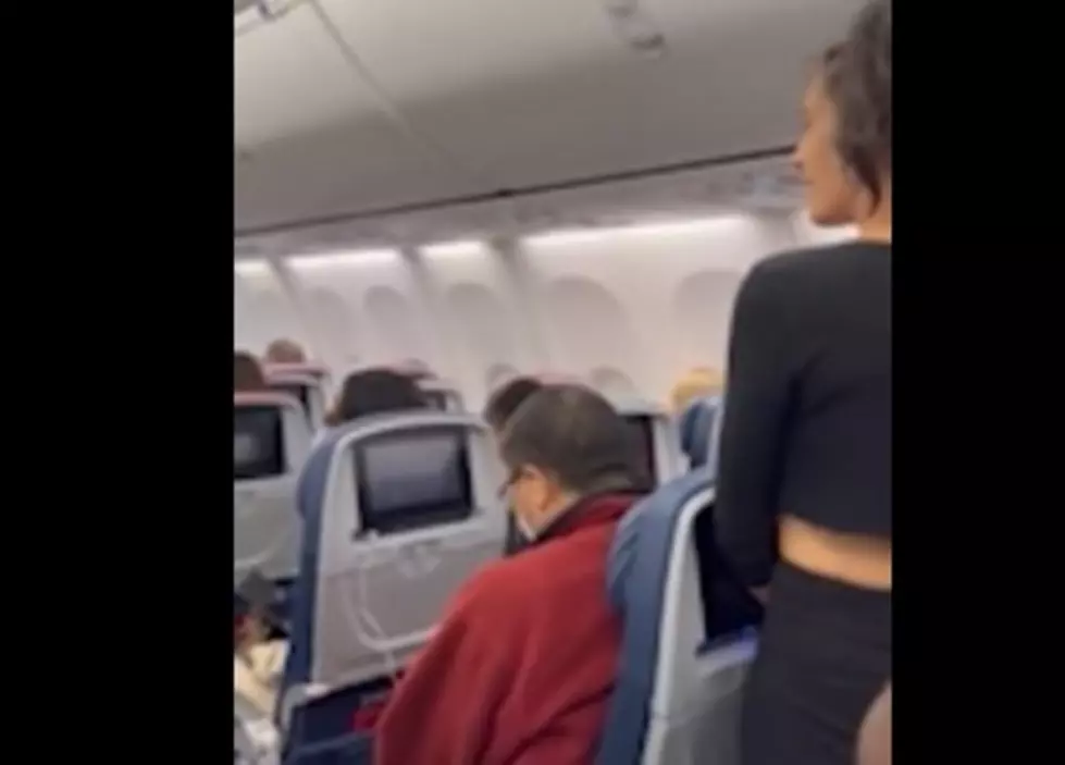 Woman&#8217;s Unbelievable Fit Over Dog on New York Flight