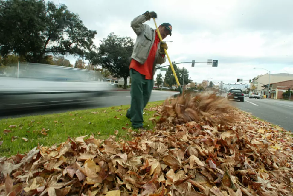 Can You Burn Leaves In New York State?