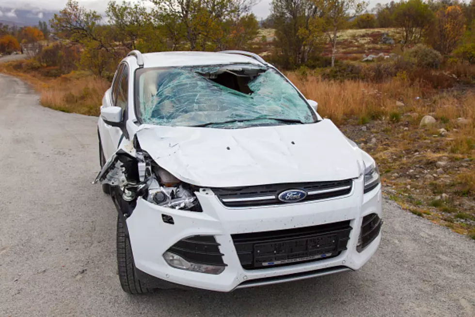 Large, Unique Danger For Driver In Upstate New York