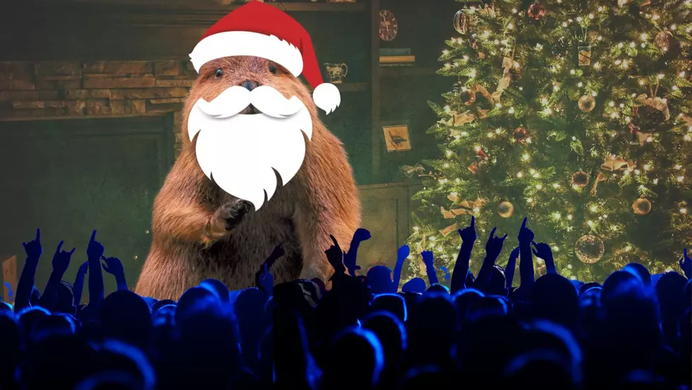 New York Going Nuts For The Christmas Beaver