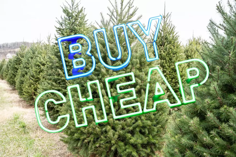 14 Places To Buy Cheap Christmas Trees In Western New York