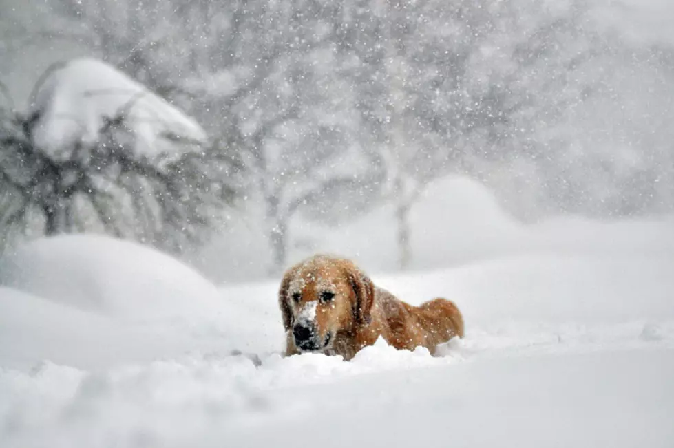 4 Feet of Snow Possible with Storm in Parts of Western New York