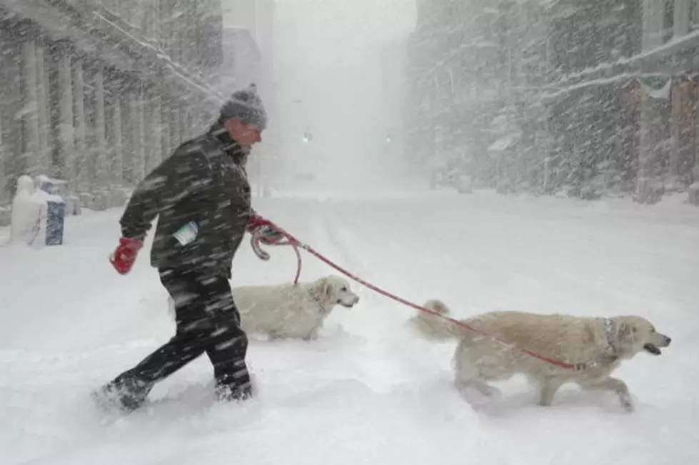 4 Inches of Snow About To Hit New York State