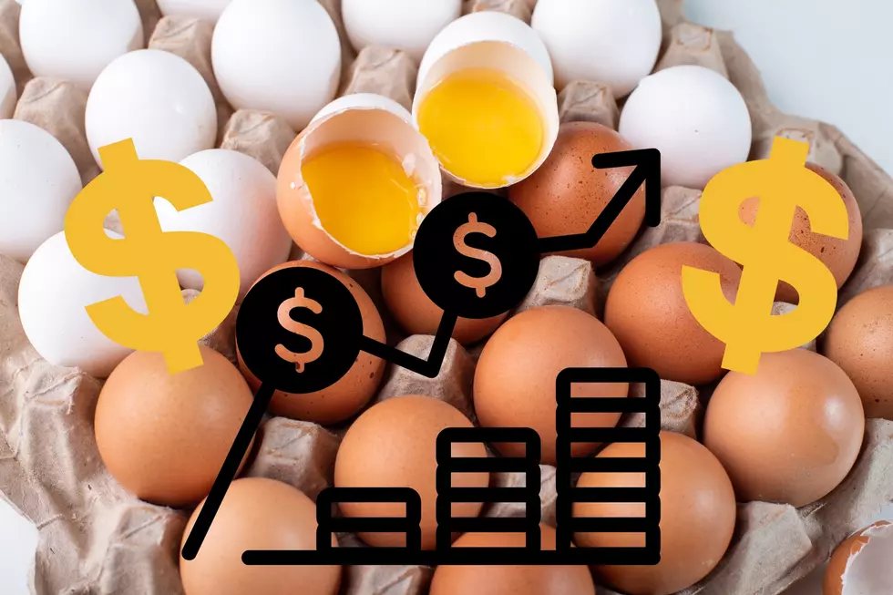 When Can We Expect Lower Egg Prices In New York?