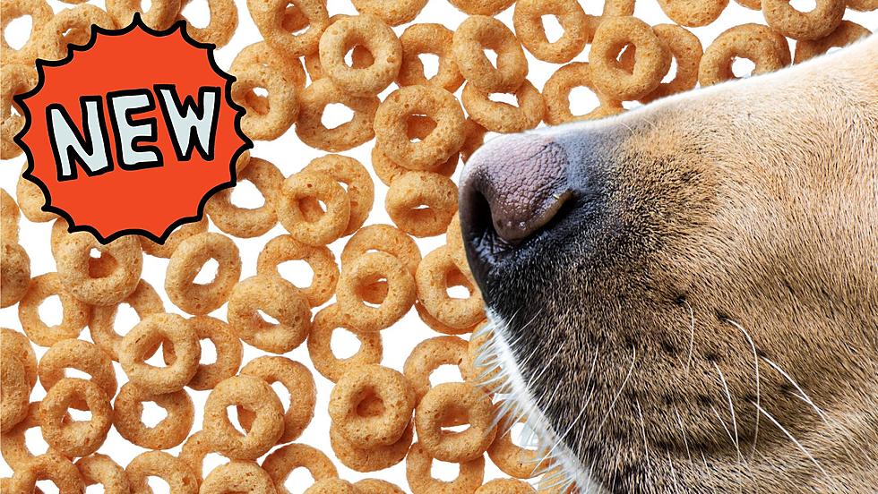 Smell The Cheerios? Get Ready For These New Smells