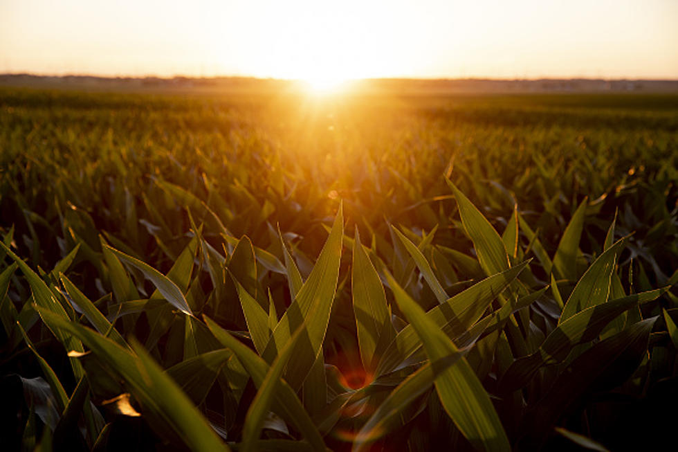 Saying Goodbye To A Western New York Farm Icon