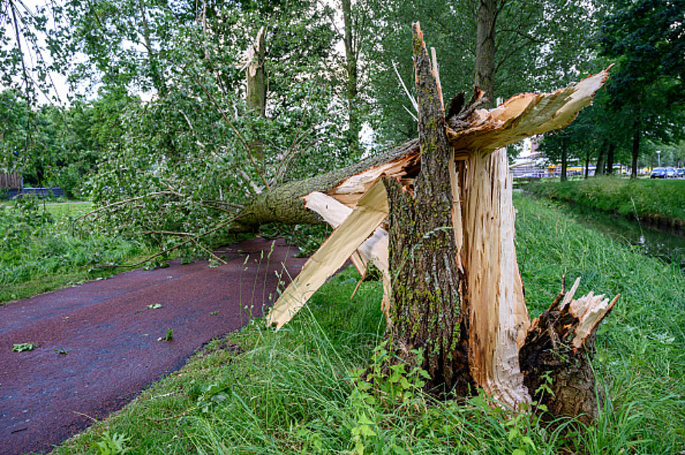 Get Ready For More Wind Damage In New York State