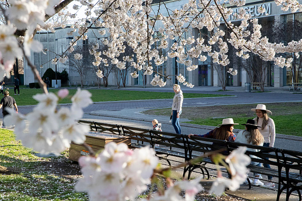 Drastic Temperature Change In New York Next Week