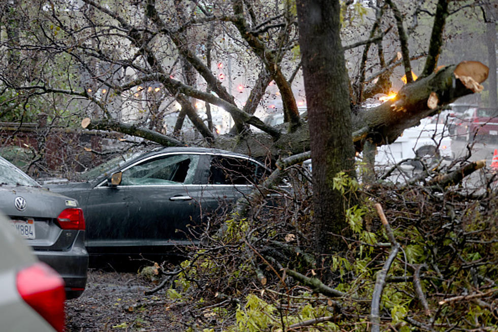 Harmful Winds For New York State This Weekend