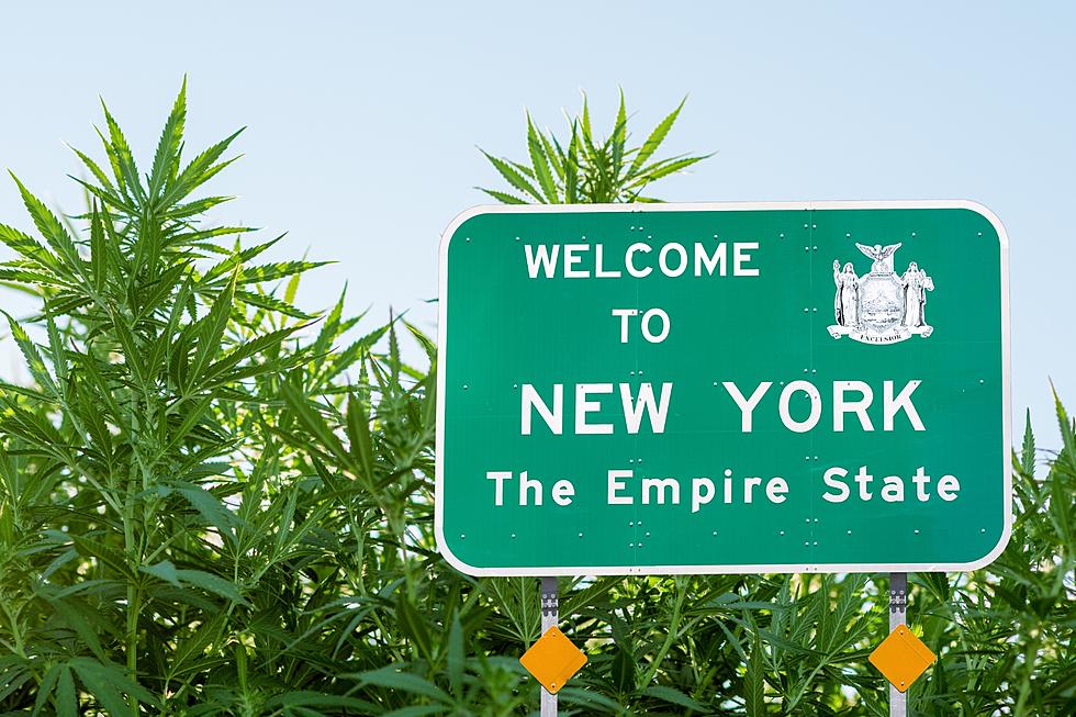 This City Is The Best For Weed Lovers In New York State