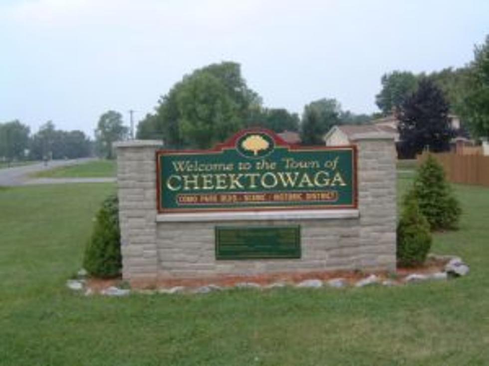 Rat Problem Explodes In Cheektowaga + Depew