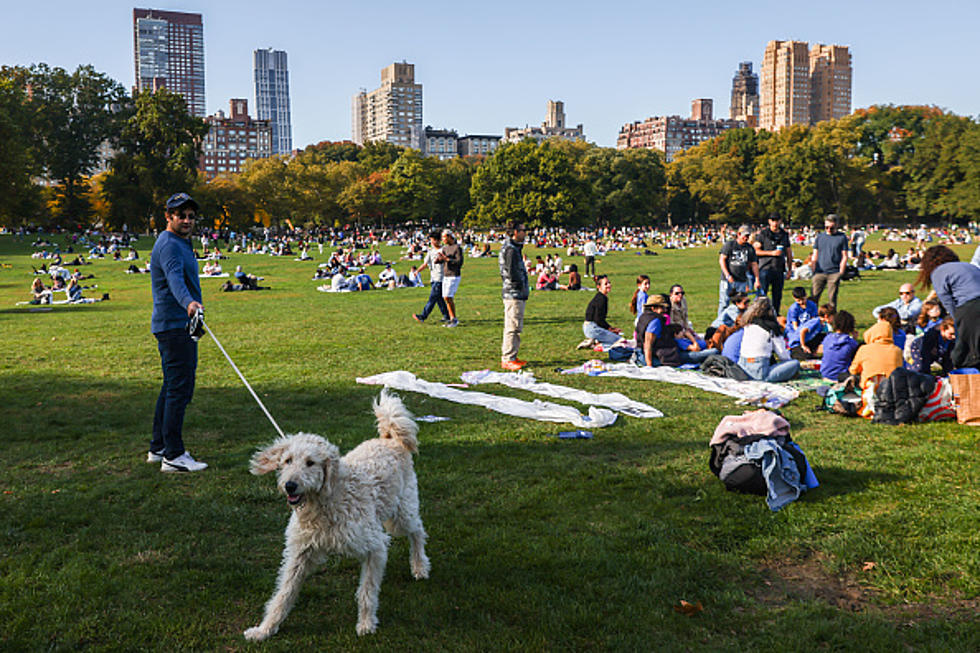 Massive, Statewide Skip Day Friday In New York State?