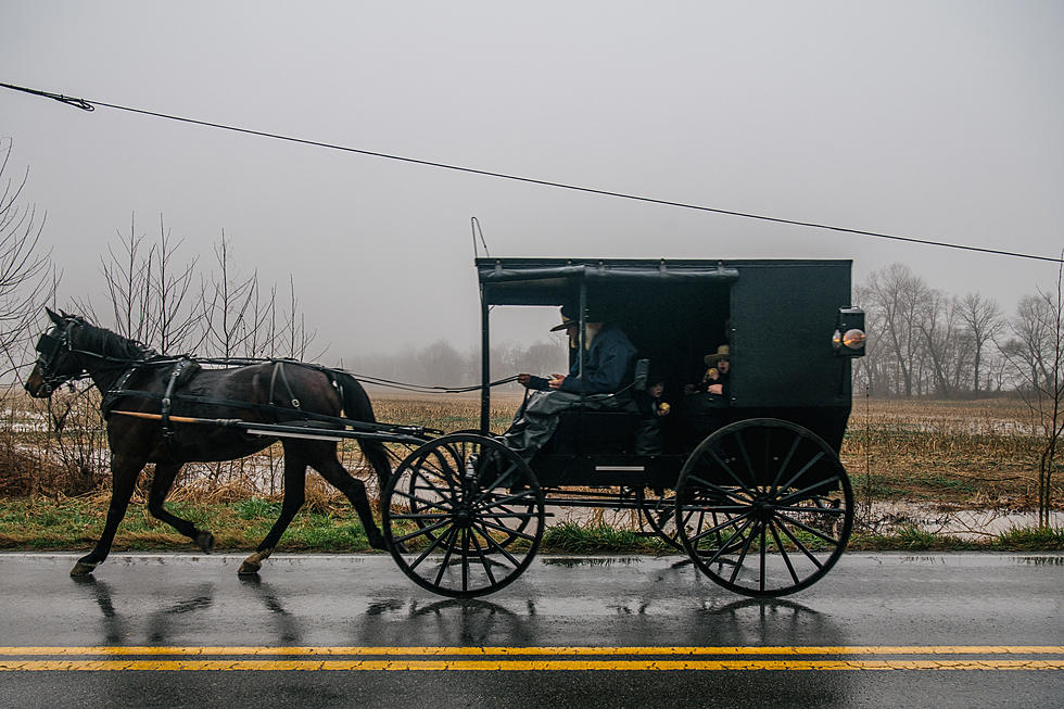 Amish Buggy Spotted Loving the Buffalo Bills