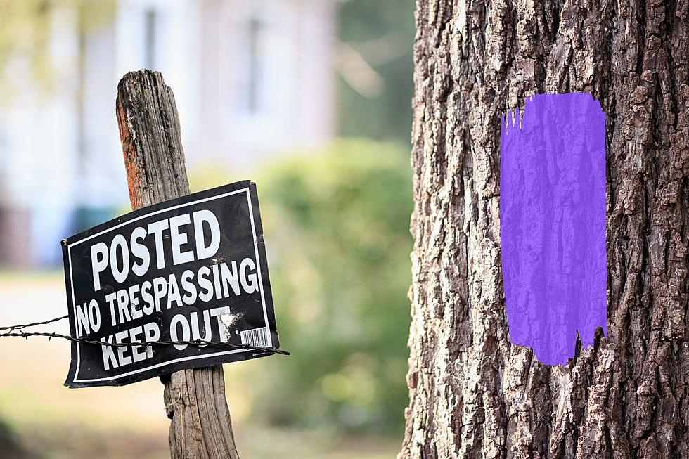 Purple Paint Means Stay Out &#8211; But Not Technically In New York State
