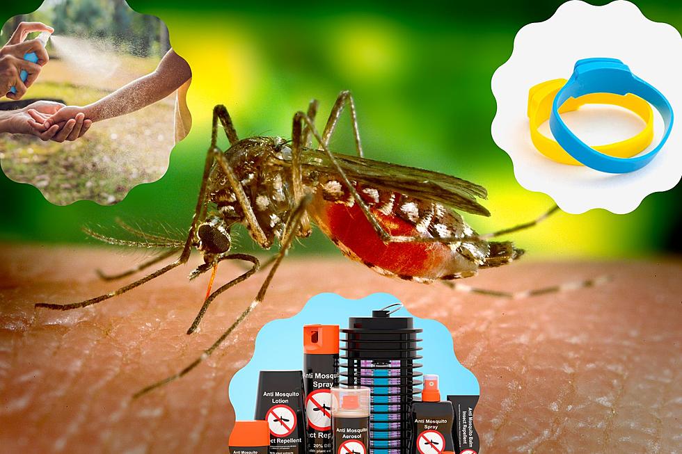 Do These 6 Mosquito Products On Amazon Really Work?