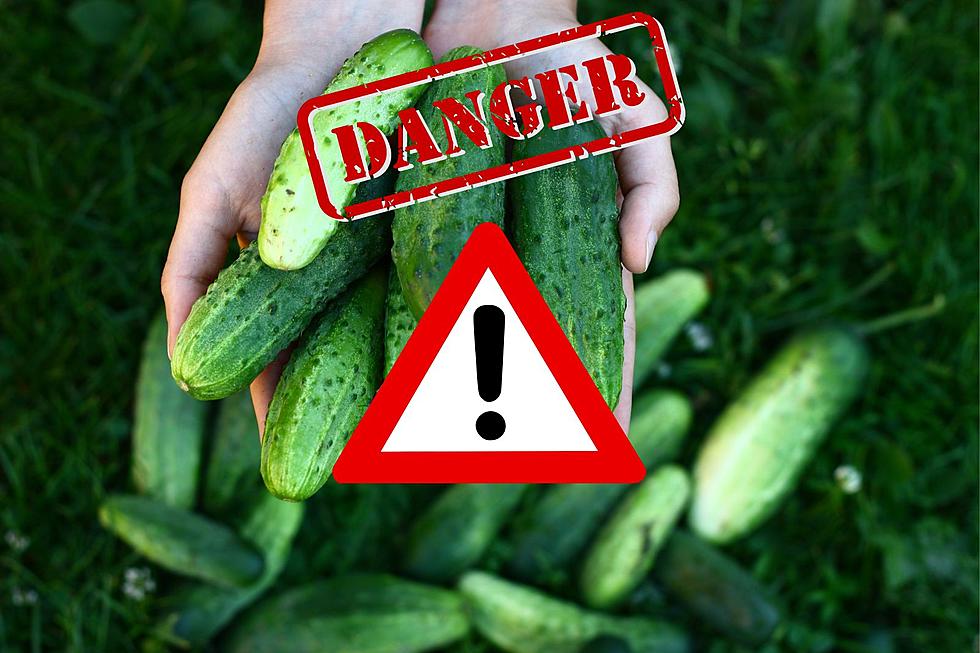 Cucumber Odor Could Signal Danger Is Lurking In New York