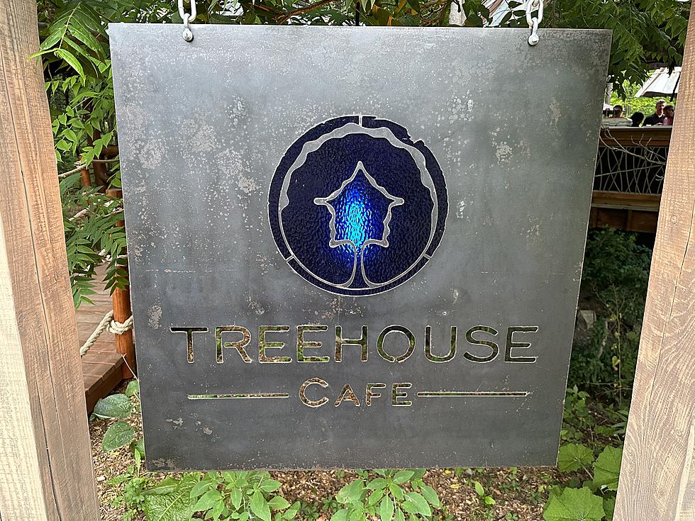 The Blueberry Treehouse Is One Of The Coolest Date Spots In West Falls, NY