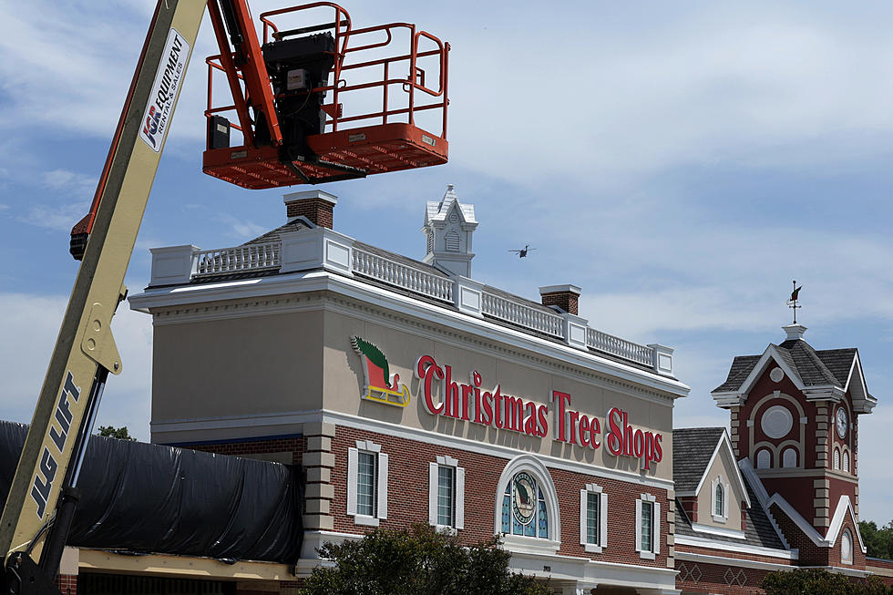 Massive Discounts at ALL Closing Christmas Tree Shops in New York State