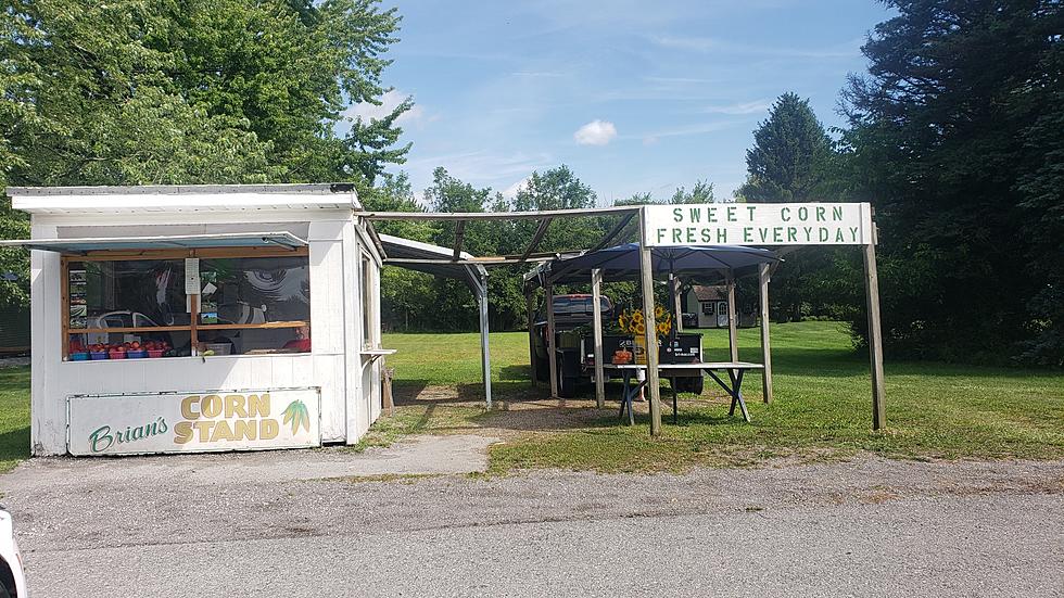 Best Corn Stand in Western New York is So Good